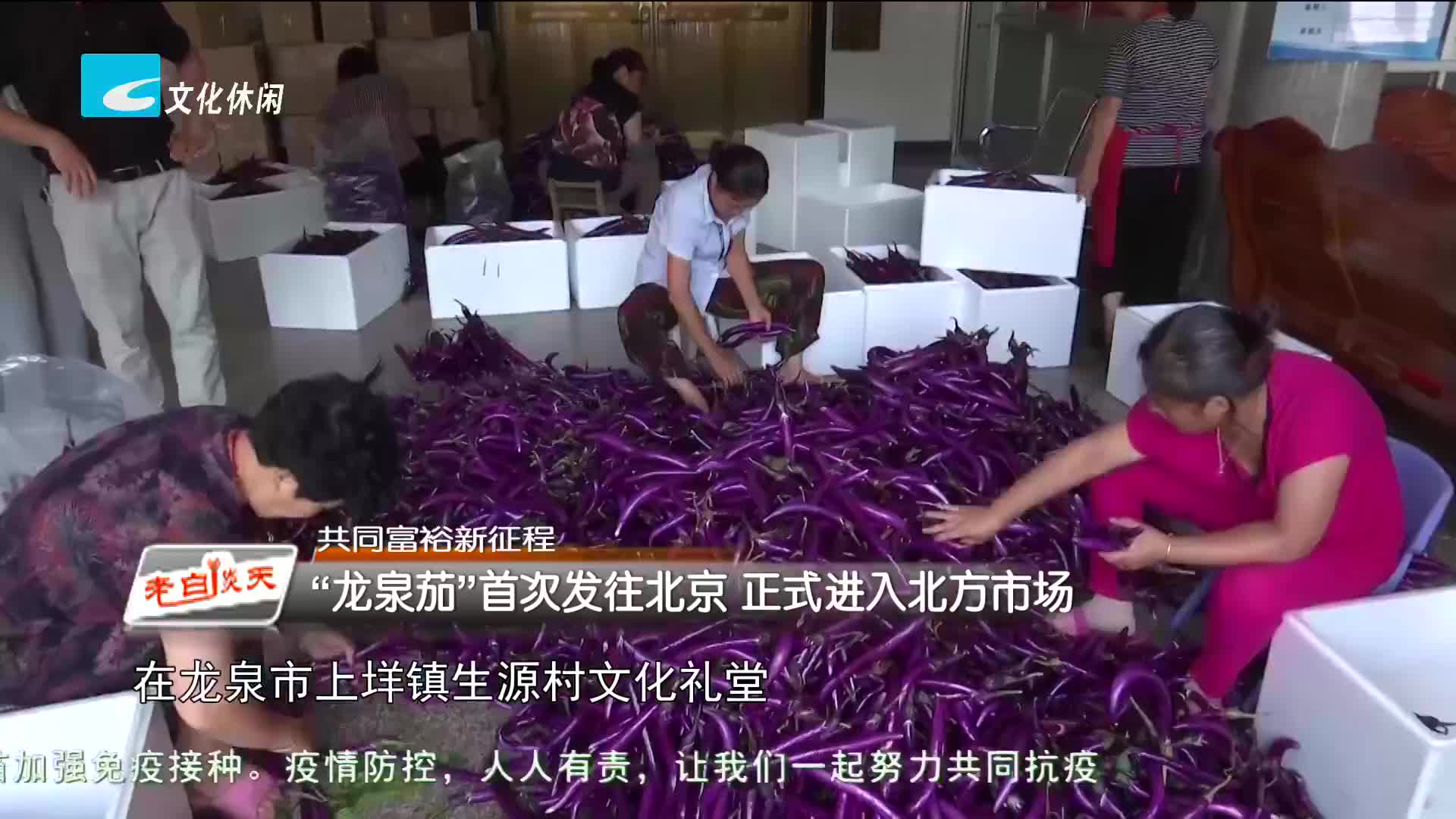 共同富裕新征程：“龙泉茄”首次发往北京 正式进入北方市场