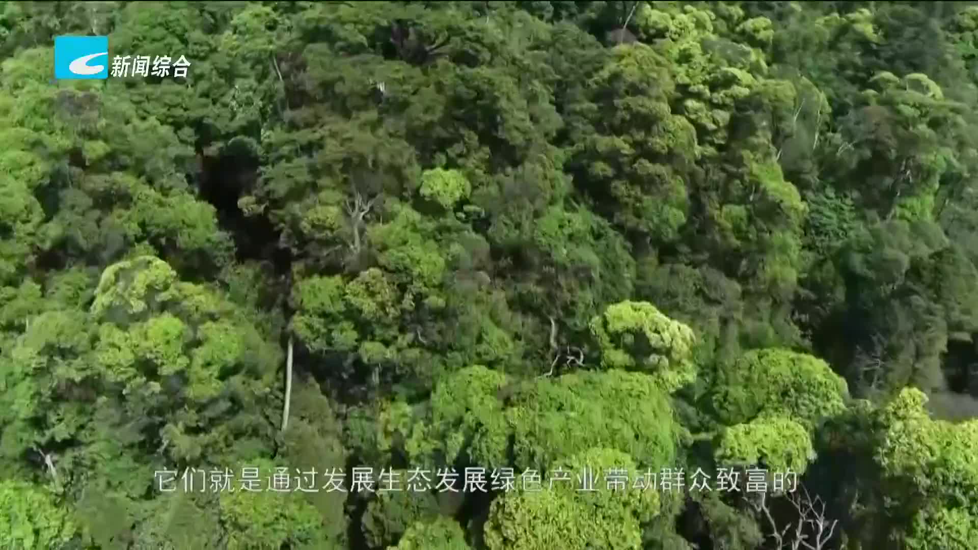 央视《焦点访谈》报道丽水创建钱江源一百山祖国家公园实践案例