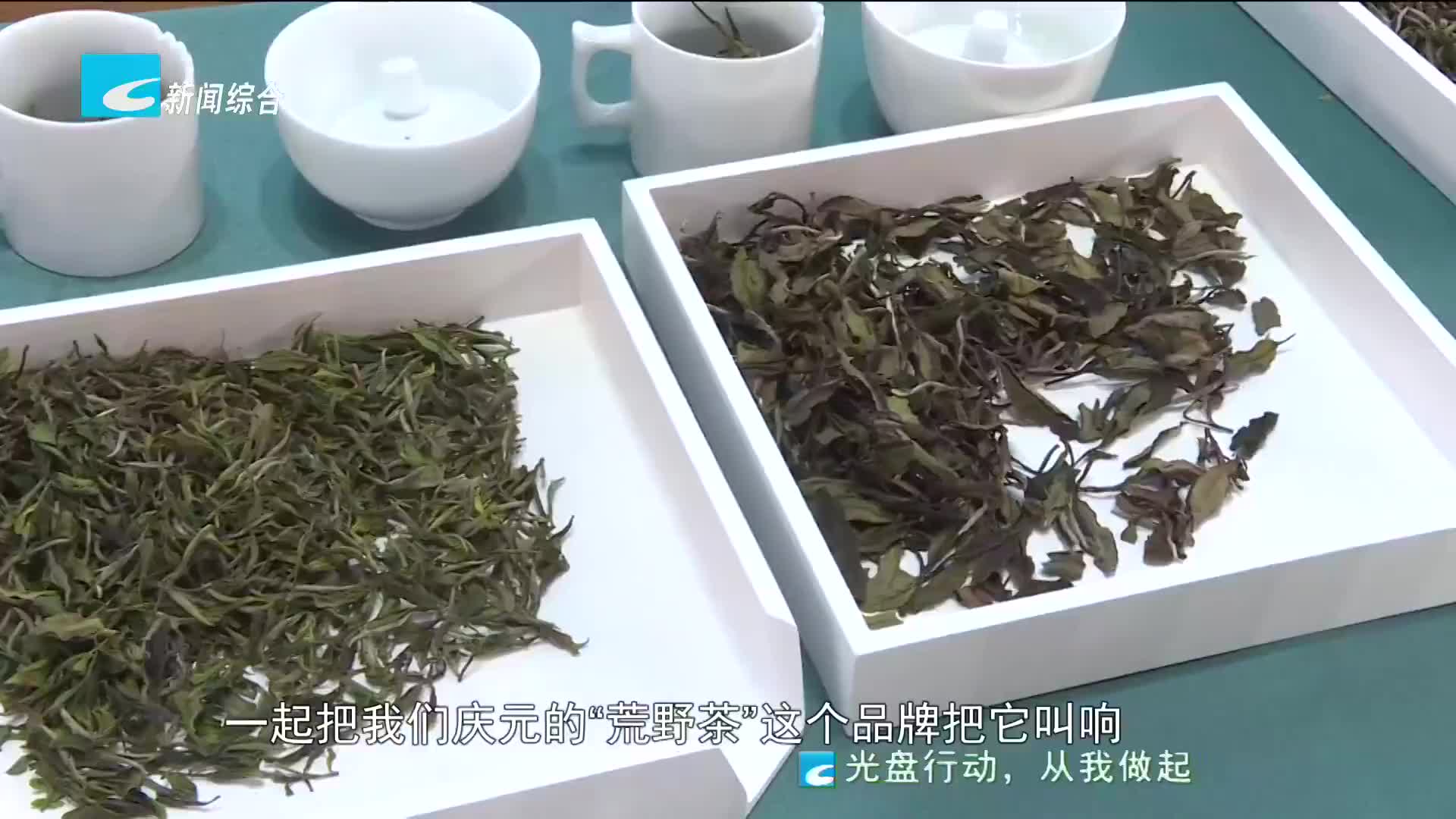 庆元：斗茶大赛开锣 叫响“荒野茶”品牌