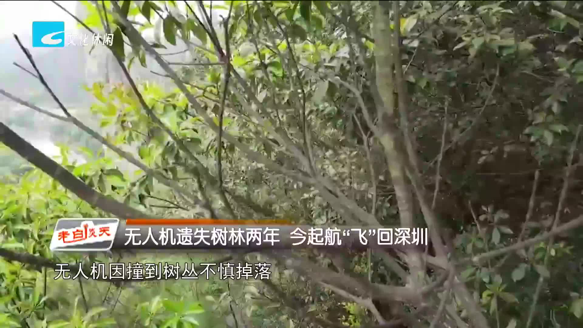 无人机遗失树林两年 今起航“飞”回深圳